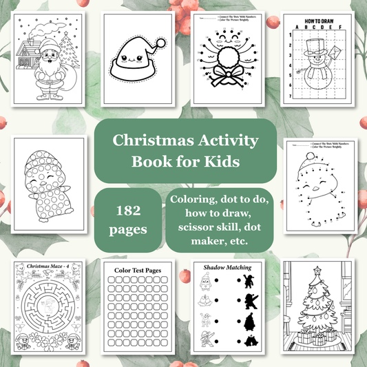 Christmas Activity Book for Kids | PLR & MRR Included |
