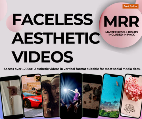 12000+ Aesthetic Faceless Reels with MRR/PLR