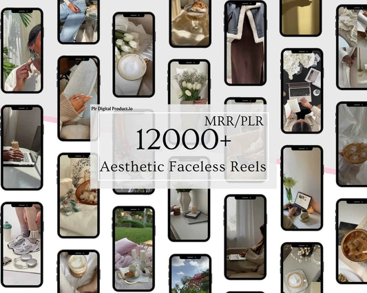 12000+ Aesthetic Faceless Reels with MRR/PLR